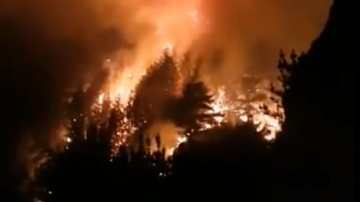 Declaran alerta roja para las comunas de Victoria y Tirúa por incendio forestal