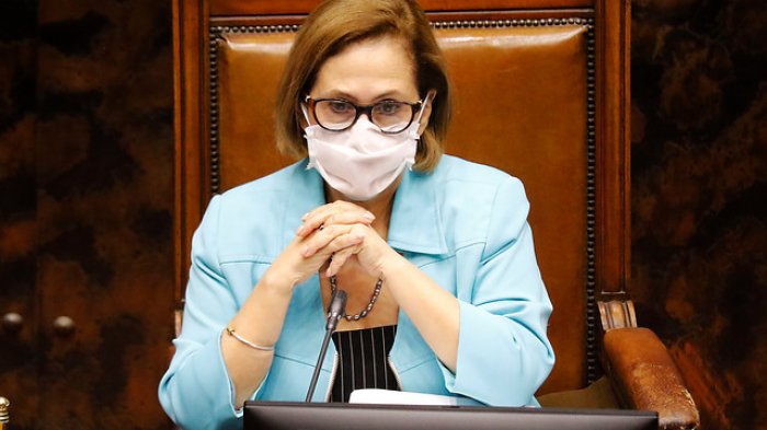 Senadores aprueban proyecto que reagenda plebiscito y elecciones fijadas para este año