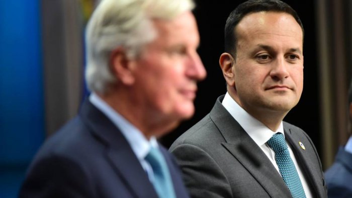 Irlanda transforma hospitales privados en públicos mientras dure la pandemia