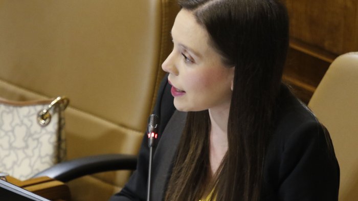 Camila Flores critica que no se decrete cuarentena total en toda la RM: 