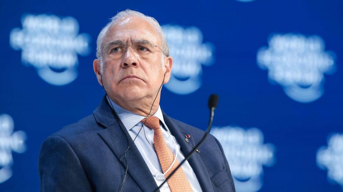 OCDE: Grandes economías perderán 2% del PIB anual por cada mes de contención del COVID-19