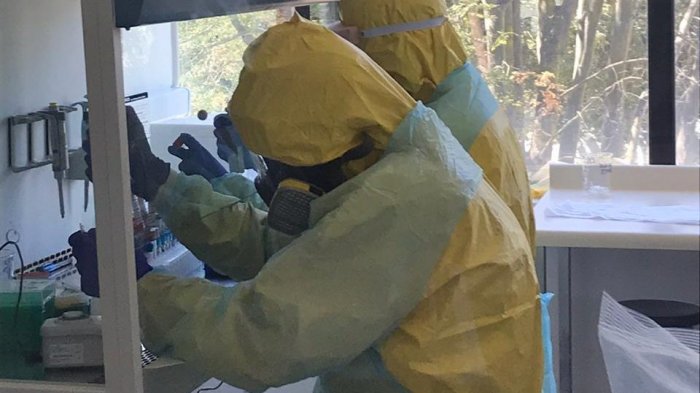 Mascarillas 3D y la posible vacuna al COVID-19: El aporte de las universidades chilenas contra la pandemia