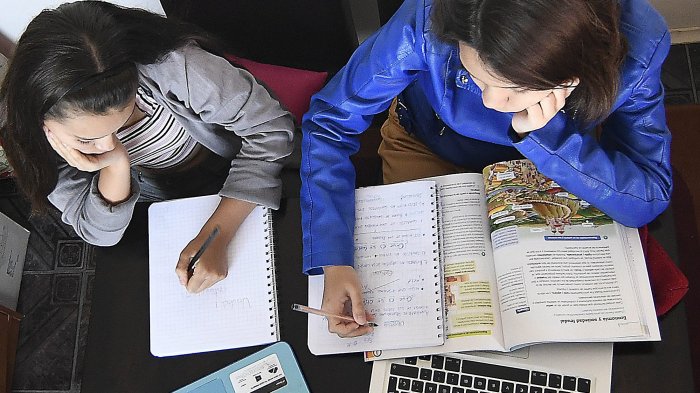 Clases online, en familia y desde la casa: Cómo continuar con la educación en cuarentena