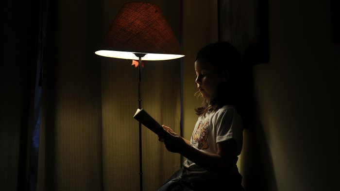 Consumo eléctrico registra importante caída en medio de medidas para enfrentar el COVID-19