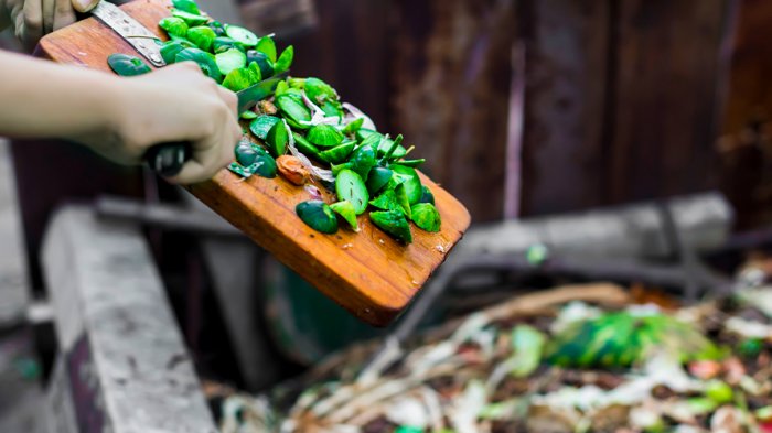 #MMAenCasa, la campaña de Medio Ambiente para aprender sobre el cuidado del planeta durante cuarentena