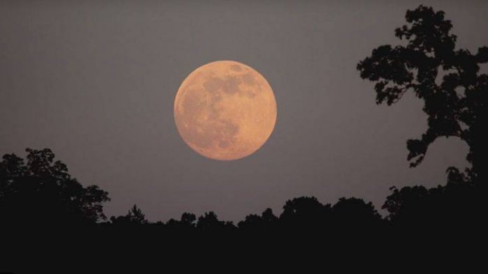 El fenómeno lunar más grande de 2020 ocurrirá la noche de este 7 de abril