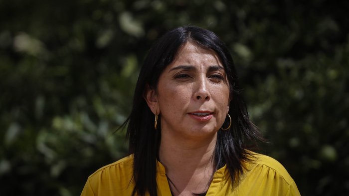 Karla Rubilar pide a la banca que ayude al Estado tal como el Estado ayudó a la banca en el pasado