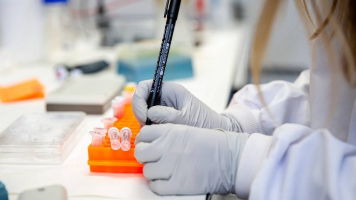 Tres se están probando en humanos: OMS informa que hay 70 vacunas en desarrollo contra el COVID-19