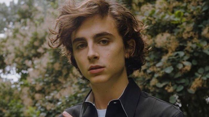 Revelan la primera imagen de Timothée Chalamet en la nueva versión de 