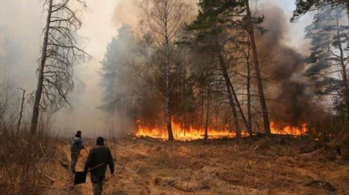 Incendio forestal se acerca a Chernobyl: Las llamas están a sólo 1,5 km del reactor