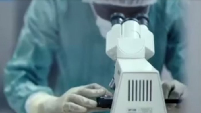 Temperatura del refrigerador puede extender la vida del coronavirus por 14 días en alimentos