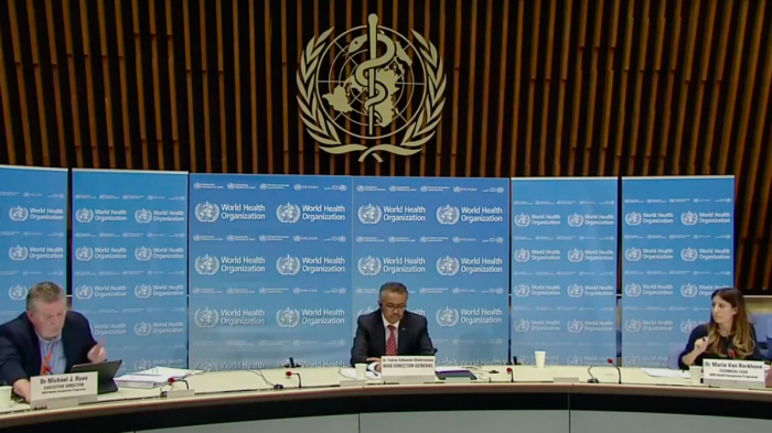 Carnet COVID-19: OMS dice que no tiene postura al respecto y llama a las autoridades a la prudencia