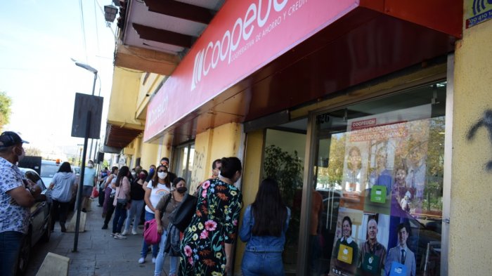 Cómo sobrevivir laboralmente: 5 emprendimientos chilenos exitosos en medio de la pandemia