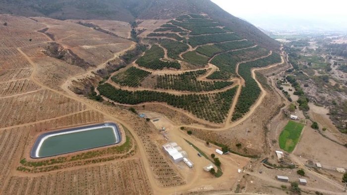 Sequía y pandemia: Piden a Contraloría fiscalizar resolución que dejó a Petorca con 50 litros de agua por persona