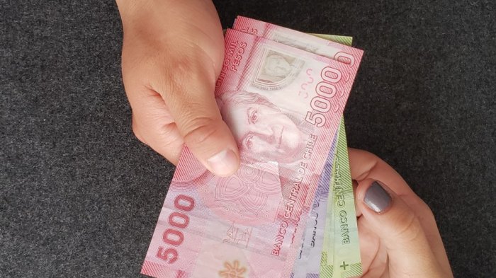 Comienza el pago del Bono Invierno 2020: ¿Quiénes reciben el beneficio y cuál es el monto?