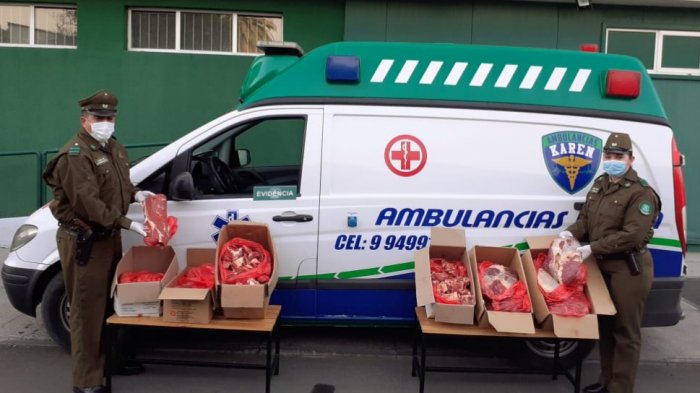 Insólito: Carabineros detuvo a hermanos que transportaban carne en ambulancia para evadir controles sanitarios