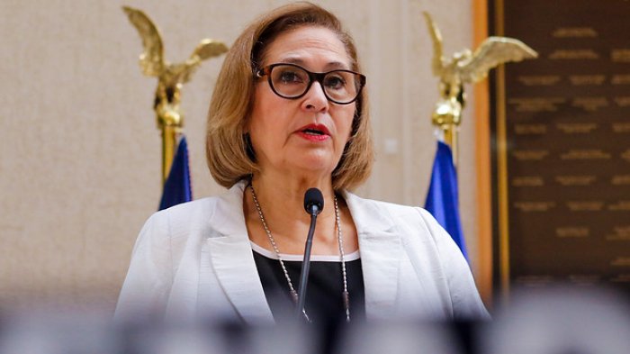 Parlamentarias crean mesa de género COVID-19: Busca visibilizar problemáticas durante la pandemia