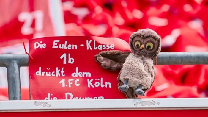 Bundesliga: Hinchas instalaron tiernos peluches para que “alentaran” al Colonia