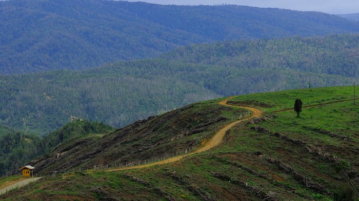 Hoy, 18 de mayo, Chile acabó con los recursos naturales que le debían alcanzar para todo 2020
