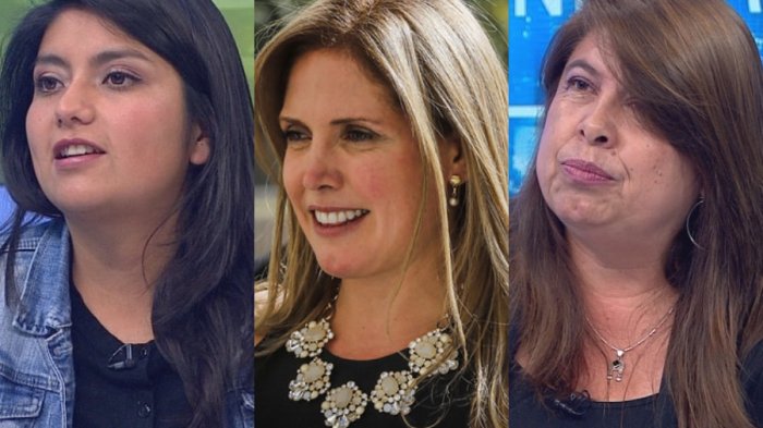 Acusan falencias en el plan Mascarilla 19: Diputadas Rojas y Mix ofician a la ministra de la Mujer por aumento de VIF