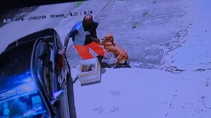 Captan a perrita que se aferraba a su dueño: La estaban abandonando junto a sus cachorros