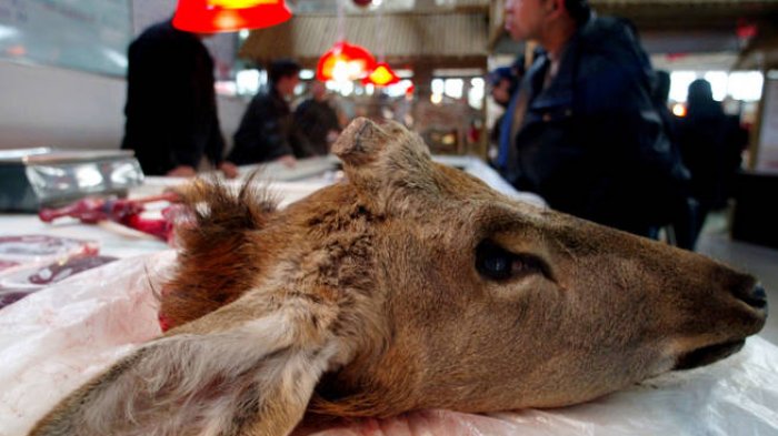 Wuhan busca enmendar el daño y prohíbe el consumo de animales salvajes