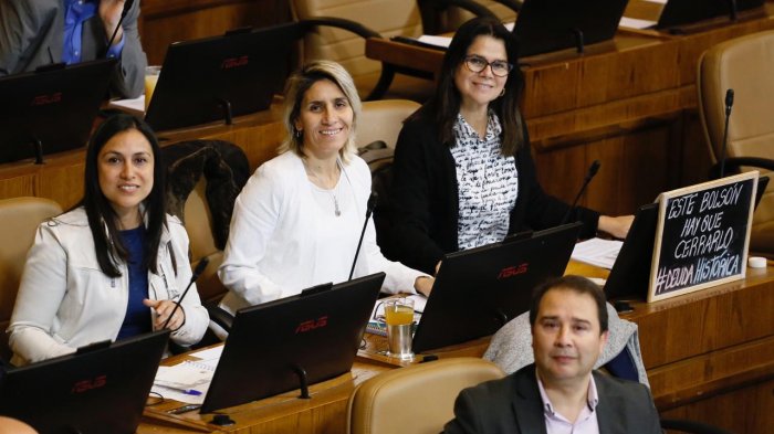 Campaña contra violencia doméstica: Diputadas RN solicitan “kit femenino esencial” en canastas de alimentos