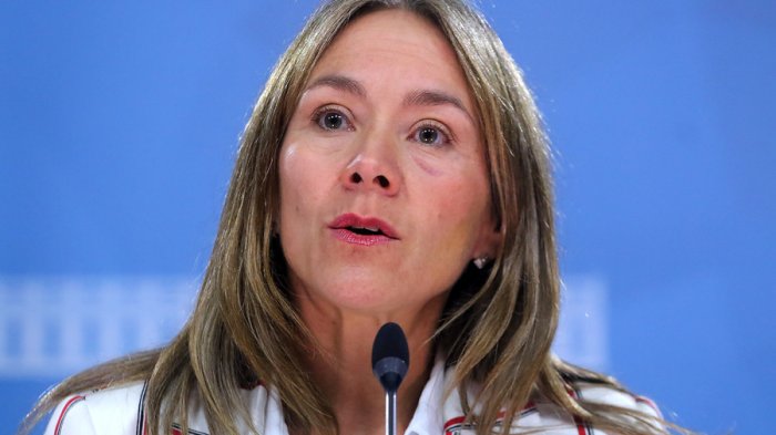 Ex ministra de Energía es nombrada vicepresidenta de Sofofa