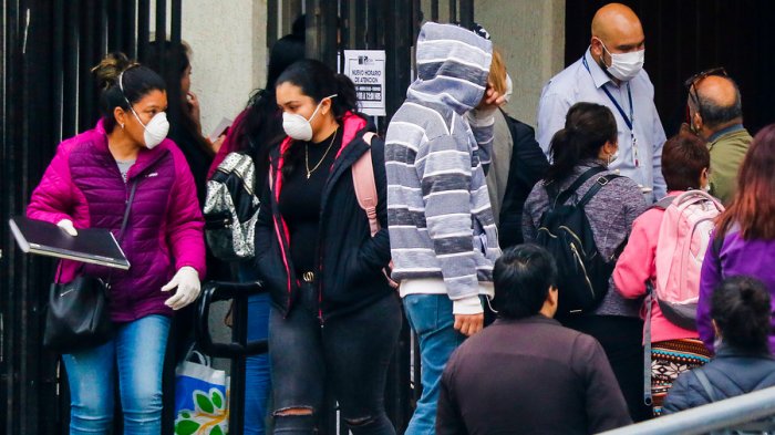 Directora (i) del INE por desempleo en pandemia: 