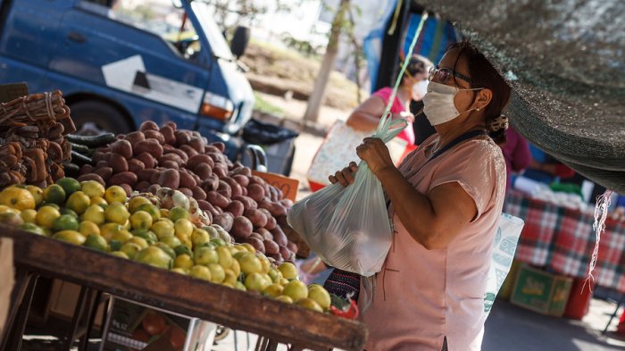 Advierten aumento de comercio ilegal en ferias libres: Podría llegar a 800 mil personas