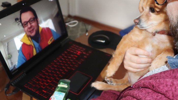 ¿Mascota enferma? Las consultas online al veterinario permiten atender a los animales sin salir de casa