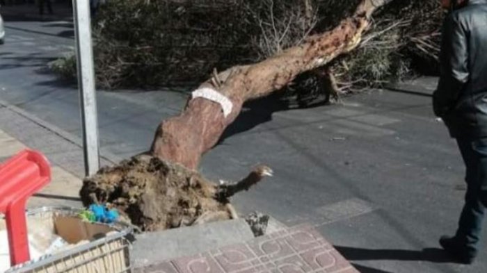 Tormenta de viento habría causado la muerte de un joven en San Pedro de Atacama