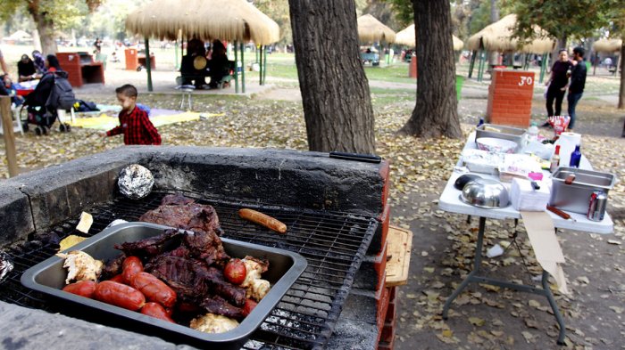 Concejal presentó protocolo para hacer un “asado seguro” durante la pandemia