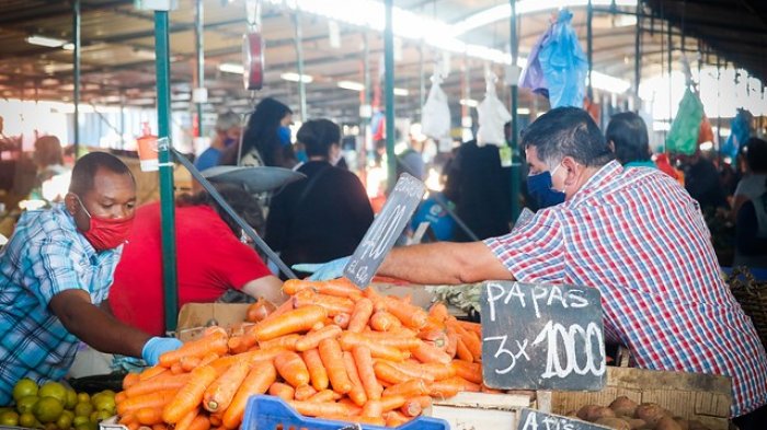 ¿Cuáles son los productos que están escasos en el mercado chileno?