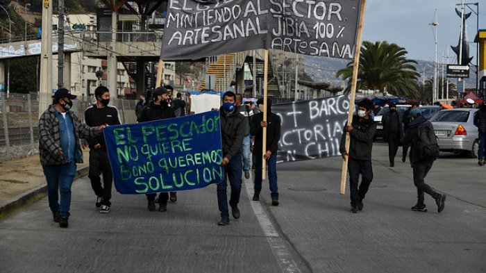 Vocero pescadores artesanales por conflicto con la jibia: 