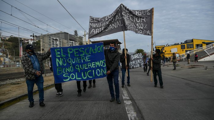 Subsecretario de Pesca tras protestas por Ley de la Jibia: “Estamos haciendo todos los esfuerzos para defenderla”