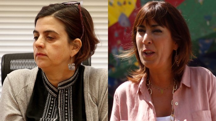 Ex ministra de la Mujer cuestiona designación de Zalaquett: “No hay compromiso con los derechos de las mujeres”
