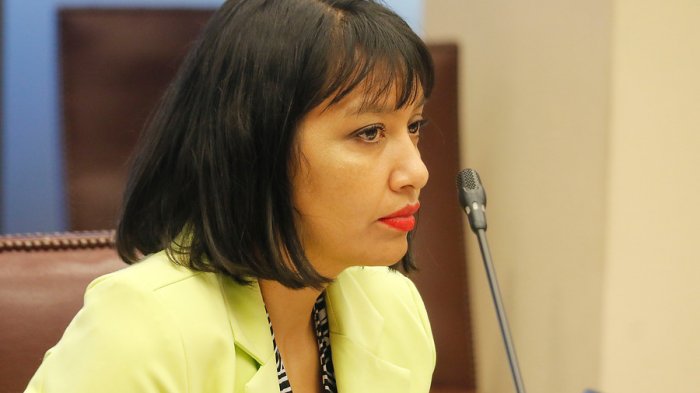 Diputada Castillo denuncia que llegó una caja de alimentos del Gobierno a su casa: 