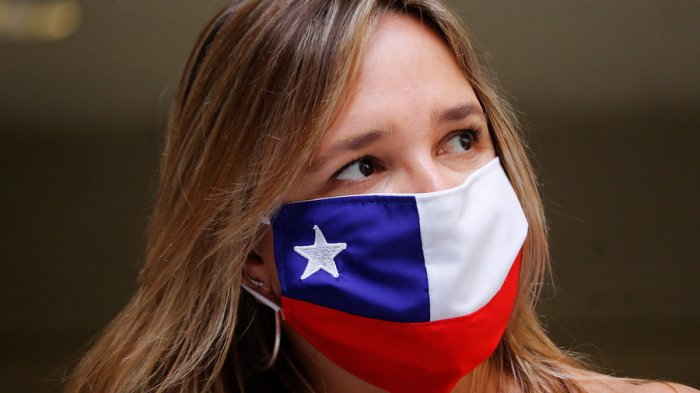 María José Hoffmann agradece labor de Mañalich: 