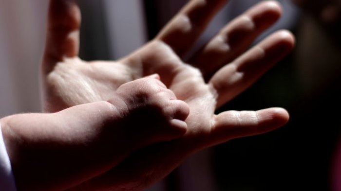 Subsecretario de Previsión Social advierte que el proyecto del postnatal de emergencia sería declarado inadmisible