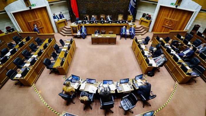 Senado declaró inadmisible postnatal de emergencia y pasa a Comisión Mixta