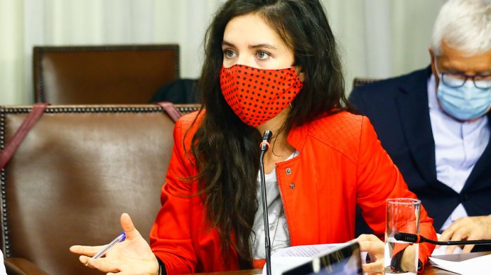 Diputada Vallejo pide al gobierno 