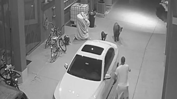 El momento en que jugador de la NFL se topó frente a frente con dos osos dentro de su casa