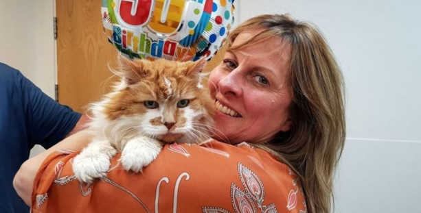 Murió Rubble, el gatito más longevo del mundo con 31 años