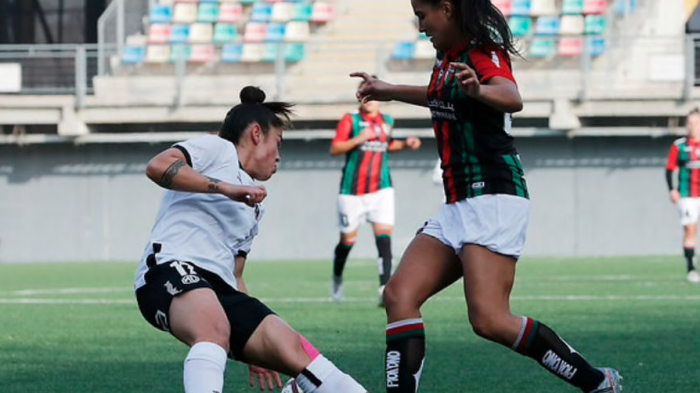 Palestino desvinculó a kinesiólogo tras acusaciones de acoso y abuso sexual de jugadoras