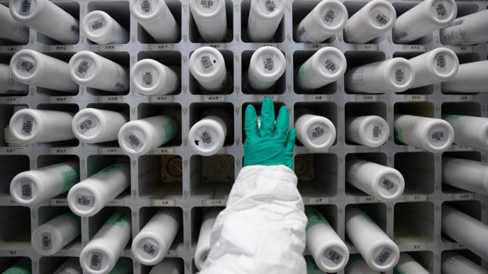 Laboratorio de Wuhan niega haber dejado escapar el Coronavirus: 