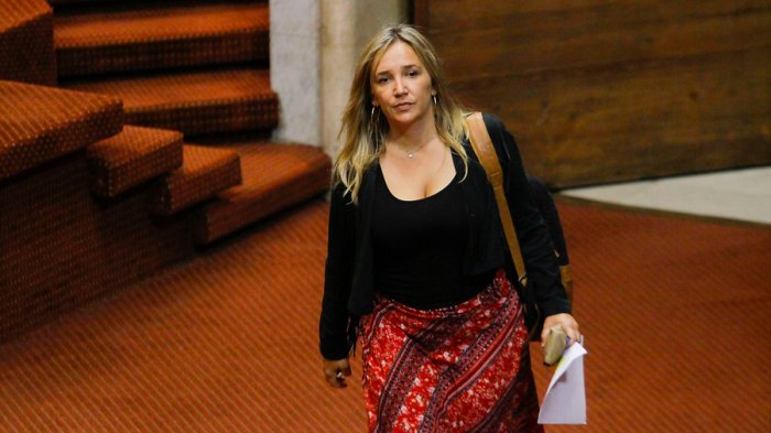 Diputada Hoffmann llama al Gobierno a 