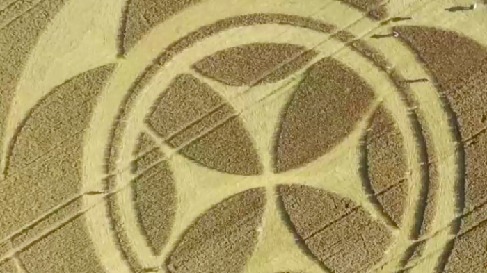 Aparición de símbolo templario en un campo de trigo llama la atención en Francia