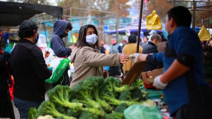 Preparan regreso de las ferias libres en Puente Alto: 
