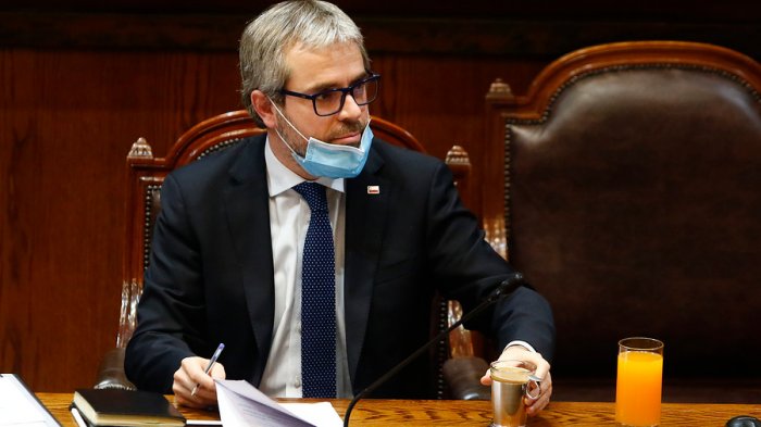 Tras aprobación en la Cámara: Blumel calificó de 